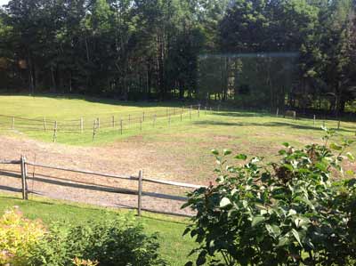 Cowshed Cabin Farm